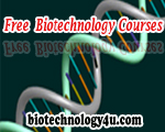 Biotechnology and Sociology