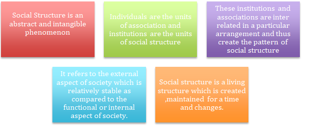 Social Structure, Social Structure Definition, Types of ...
 Social Anatomy Definition