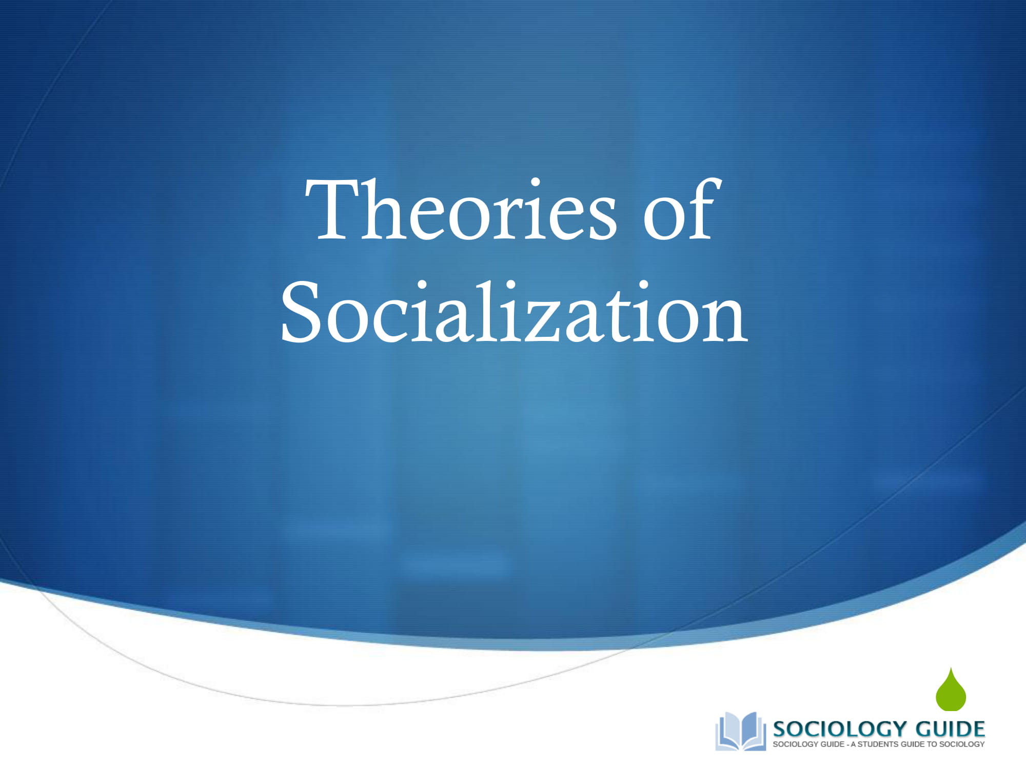 Theories of socialization
